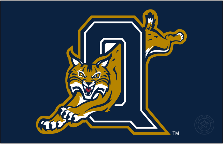 Quinnipiac Bobcats 2002-2017 Secondary Logo diy DTF decal sticker